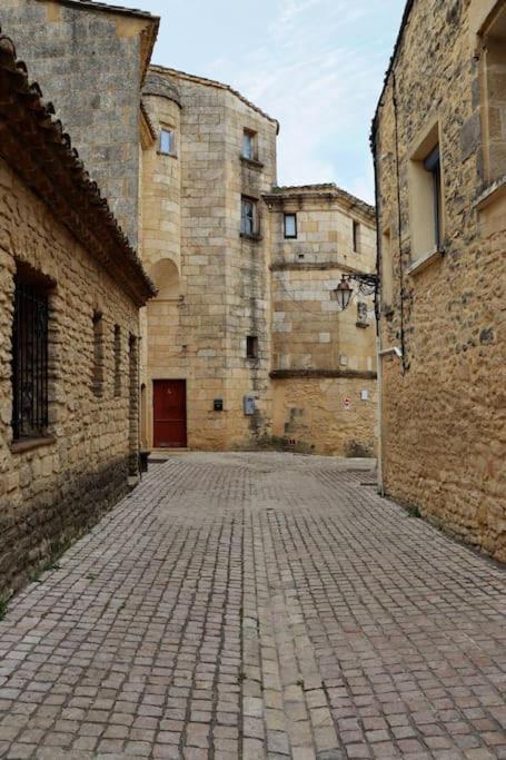 Apartament Entre Uzes Et Le Pont-Du-Gard Le Logis D'Autrefois Castillon-du-Gard Zewnętrze zdjęcie