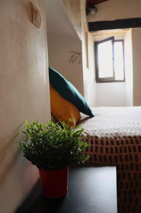 Apartament Entre Uzes Et Le Pont-Du-Gard Le Logis D'Autrefois Castillon-du-Gard Zewnętrze zdjęcie